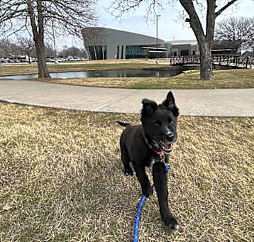 Photo of Obie