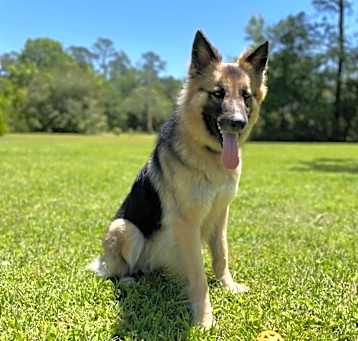 Photo of Ruby