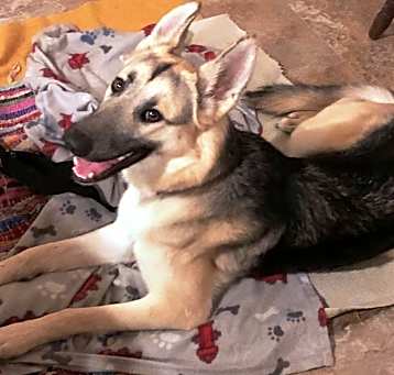Photo of Lola