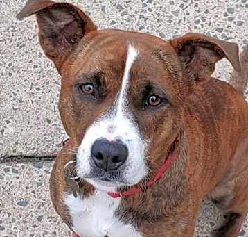 Photo of Sally