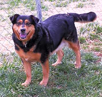 Photo of Angell