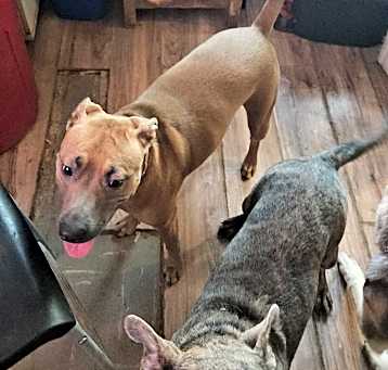 Photo of Lilly