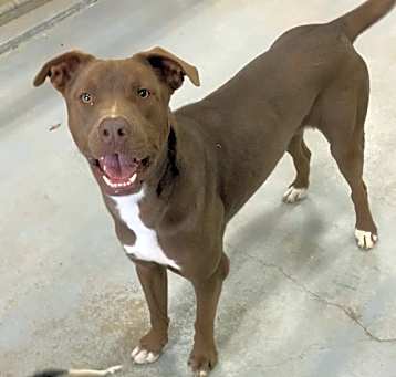 Photo of Romeo