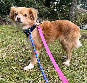 Photo of Savannah