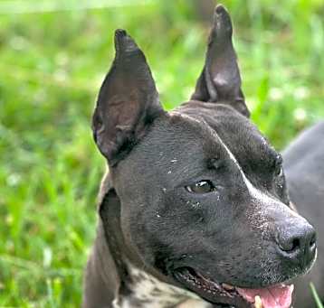 Photo of Binti