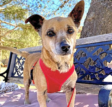 Photo of Marlowe
