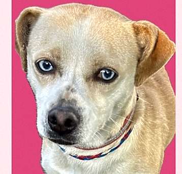 Photo of Jenny