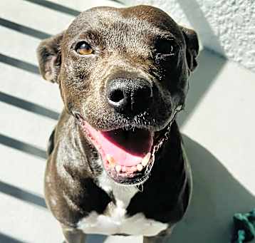 Photo of Edie