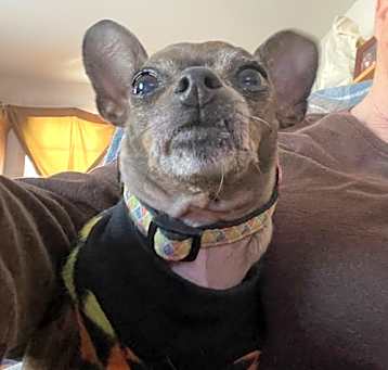 Photo of BLANCHE