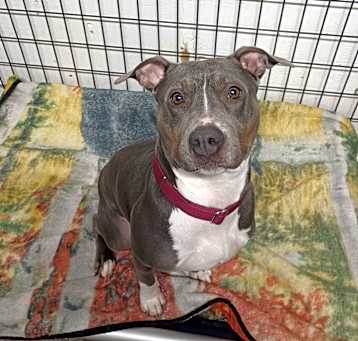 Photo of Sophia