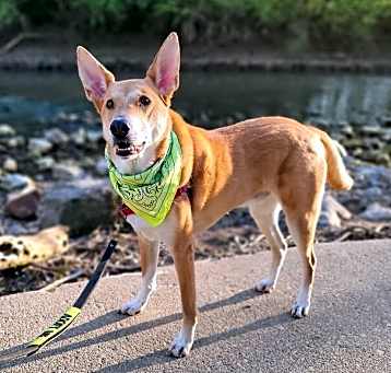 Photo of Jasper