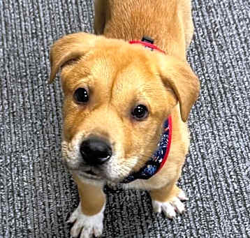 Photo of Cruz