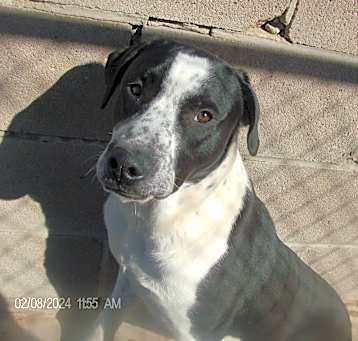 Photo of RODNEY