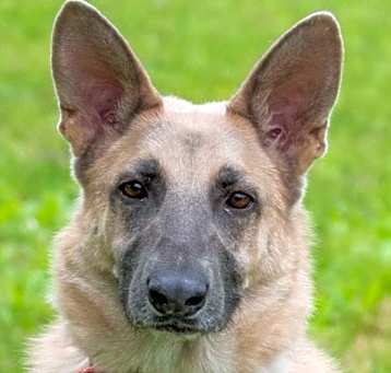 Photo of ADIRI
