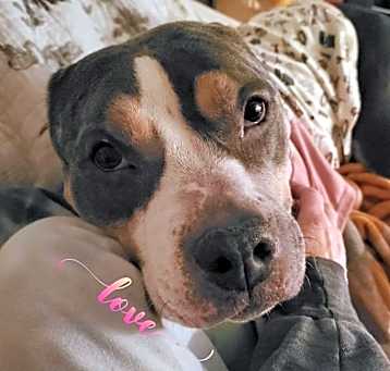 Photo of Macy