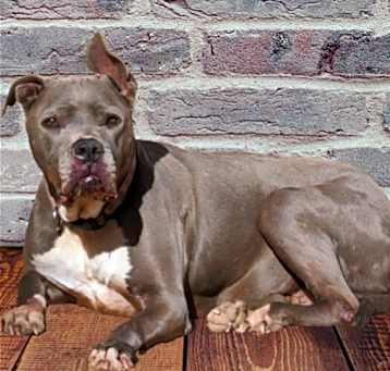 Photo of THOR THOR