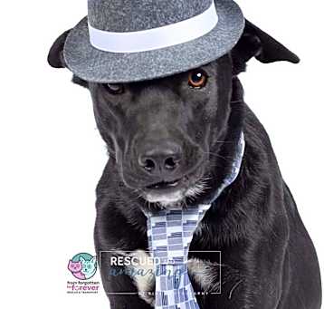 Photo of Oliver