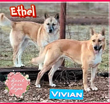 Photo of Ethel and Vivian