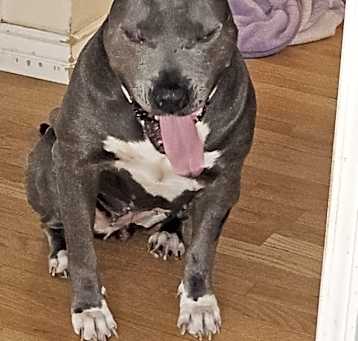 Photo of Bonnie