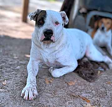 Photo of Waylon