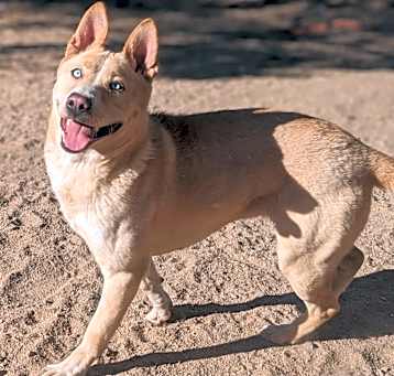 Photo of Cora