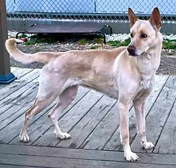 Photo of Griselda (Bella)