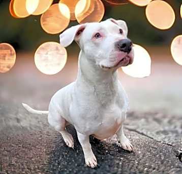Photo of Amara