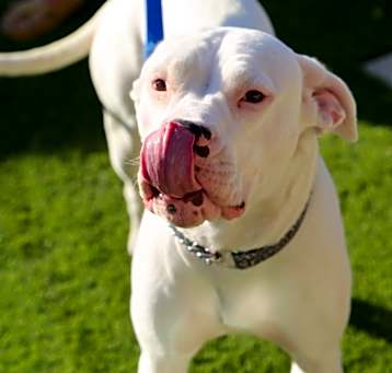 Photo of SUPER*NOVA