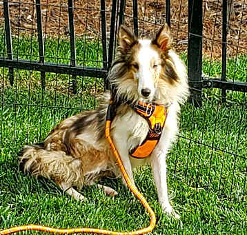 Photo of Athena
