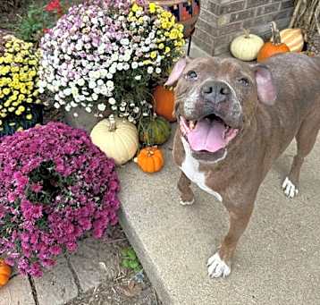 Photo of Riddick