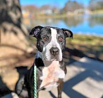 Photo of Suzie