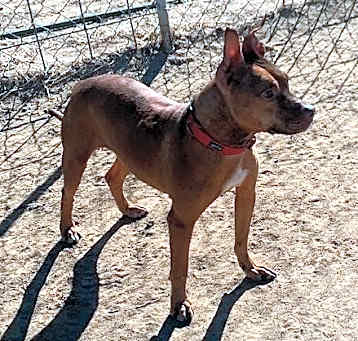 Photo of Chili