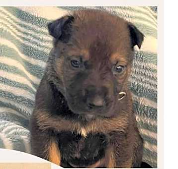 Photo of YODA