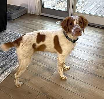 Photo of Tucker
