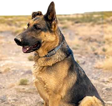 Photo of Aleah