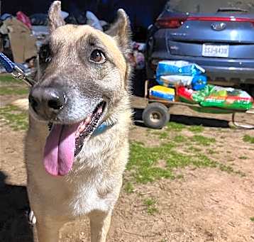 Photo of Chase
