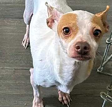 Photo of Mamasita