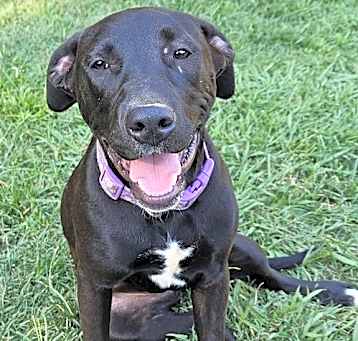 Photo of Luna