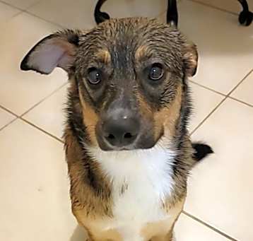 Photo of Luna