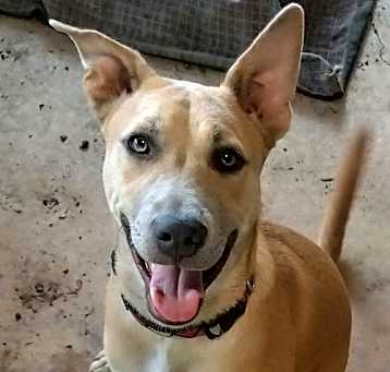 Photo of Holden