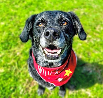 Photo of Chase
