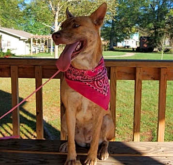 Photo of Skye