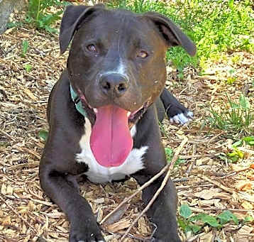 Photo of Patrick: Visit at the shelter