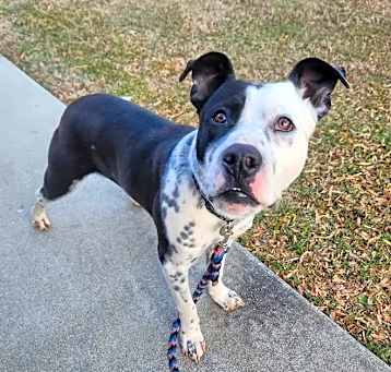 Photo of Benny