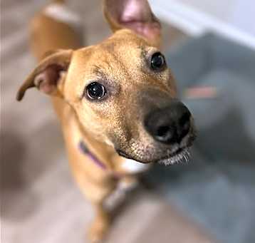 Photo of Mac