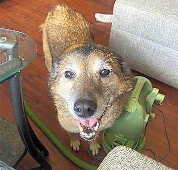 Photo of TANK (BONDED w/RUSTY)(COURTESY POST)