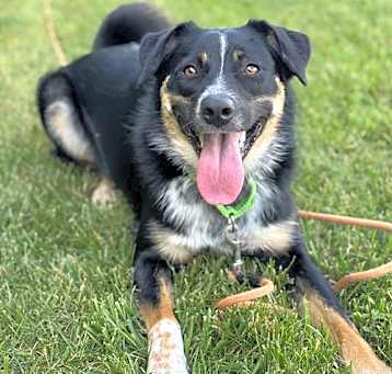 Photo of Trigg