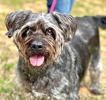 Photo of Maggie