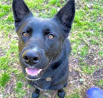 Photo of Roxie