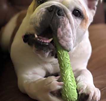 Photo of Diesel